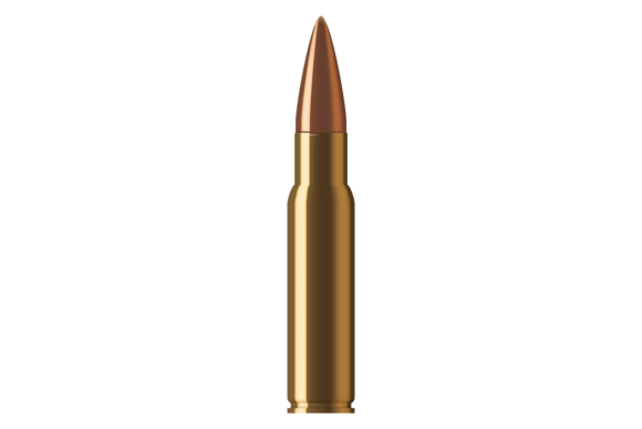Shotgun Caliber Ammo. Realistic Metal Gráfico Ilustrações para Impressão Por microvectorone