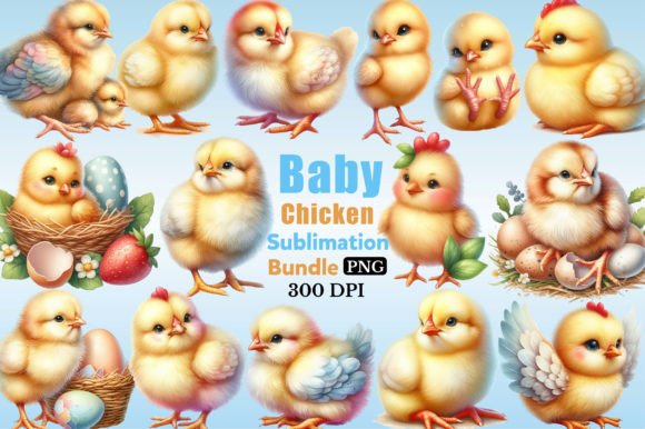 Baby Chicken Clipart Sublimation Bundle Graphic Illustrations By CitraGraphics