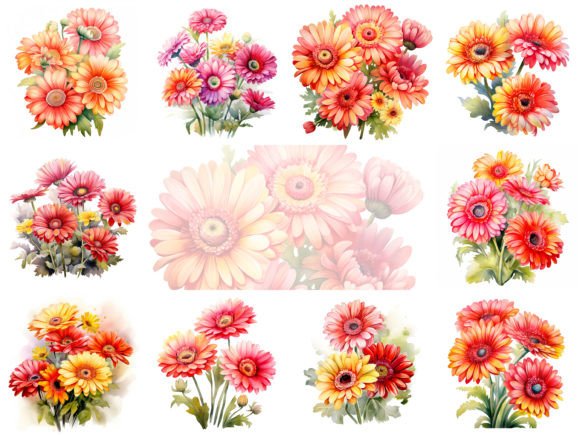 Germini Watercolor Flowers Clipart Image Graphic Illustrations By Andreas Stumpf Designs