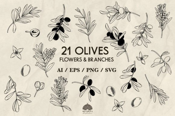 Olive Branches SVG PNG EPS Gráfico Ilustraciones Imprimibles Por HappyWatercolorShop