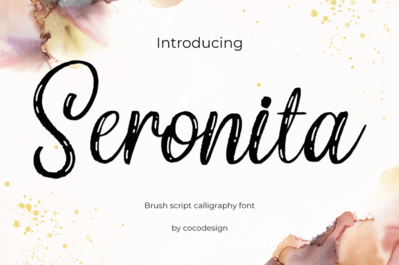 Seronita Script & Handwritten Font By cocodesign