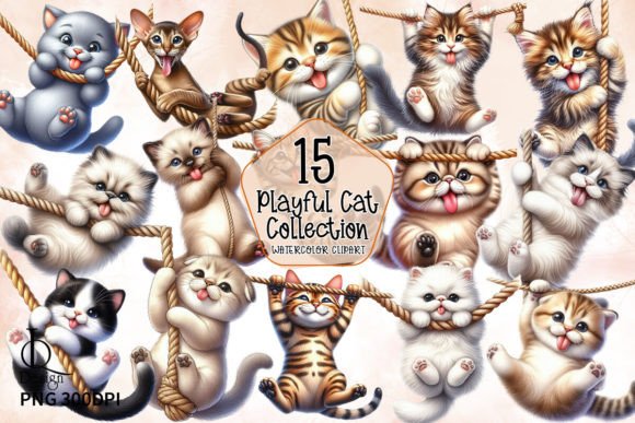 Playful Cat Collection Clipart PNG Graphic Crafts By LQ Design