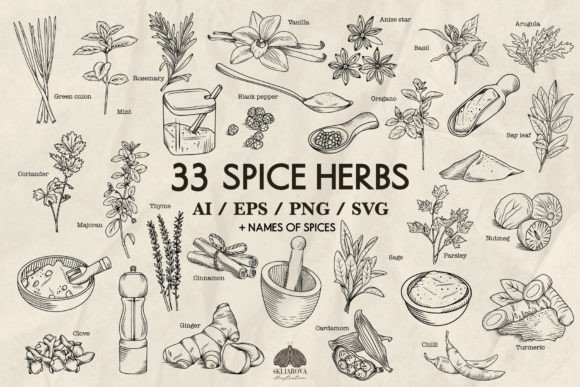 Spices and Kitchen Herbs Svg Png Eps Grafica Illustrazioni Stampabili Di HappyWatercolorShop