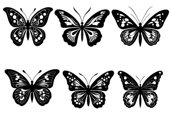Butterfly Vector Illustration Grafika Ilustracje do Druku Przez VAROT CHANDRA RAY
