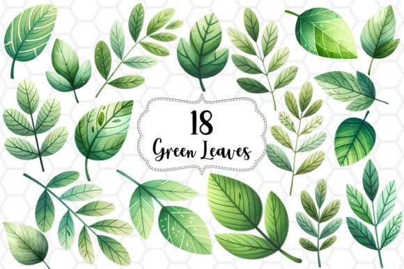 Green Leaves Watercolor Cliparts PNG Graphic Illustrations By DreanArtDesign