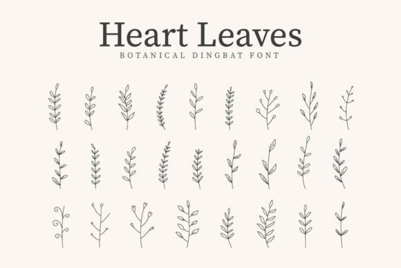 Heart Leaves Fontes Dingbats Fonte Por CraftedType Studio