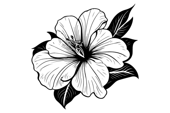 Hibiscus Silhouette Vector Illustration Graphic Illustrations By VAROT CHANDRA RAY