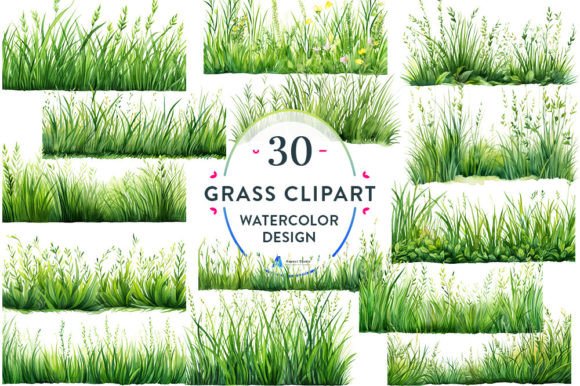 Watercolor Grass Borders Clipart Gráfico Ilustraciones Imprimibles Por Aspect_Studio