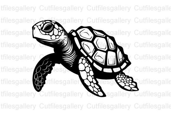 Sea Turtle SVG, Sea Animal SVG, Turtle Graphic Crafts By cutfilesgallery