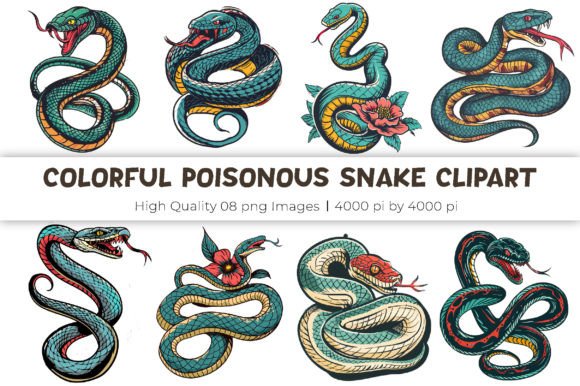 Colorful Poisonous Snake Clipart Graphic Illustrations By mirazooze
