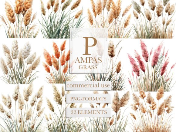 Pampas Grass Clipart. Pampas Png Grafik Druckbare Illustrationen Von UsisArt