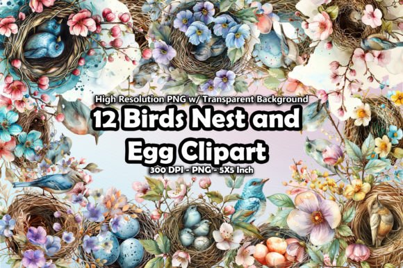 12 Birds Nest and Egg Clipart PNG Gráfico Ilustrações para Impressão Por printztopbrand
