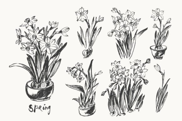 Ink Brush Daffodils Graphic Objects By katya bogina