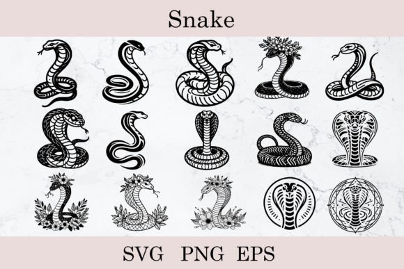 Snake SVG Bundle Outline Clipart Graphic Illustrations By svgxoxo