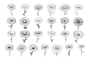 50 Daisy Procreate Stamps Brushes Graphic Brushes By CanadaArtGallery 4