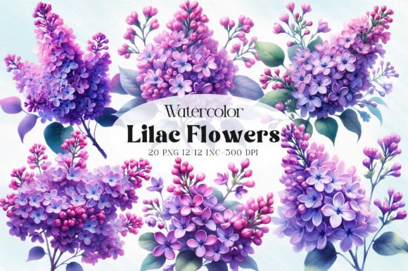 Lilac Flowers Watercolor Clipart Graphic Illustrations By RevolutionCraft