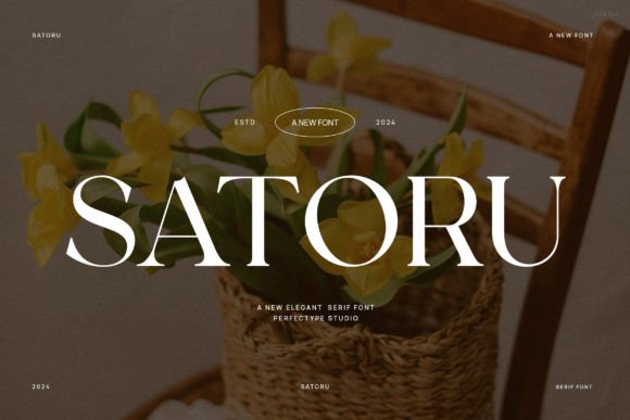 Satoru Serif Font By Perfectype