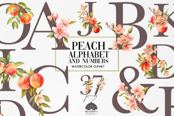 Spring Peach Alphabet and Numbers Grafica Illustrazioni Stampabili Di HappyWatercolorShop