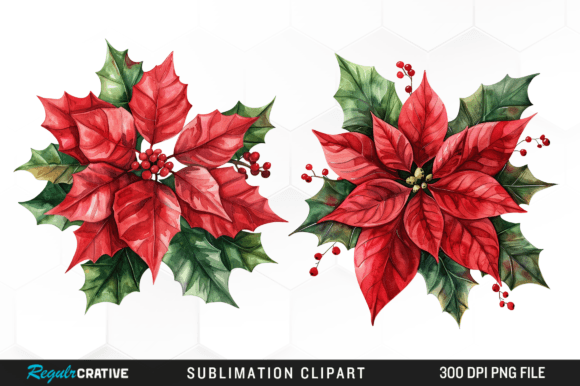 Watercolor Christmas Flower Clipart PNG Graphic Illustrations By Regulrcrative