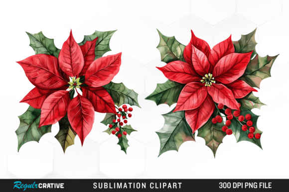 Watercolor Christmas Flower Clipart PNG Graphic Illustrations By Regulrcrative