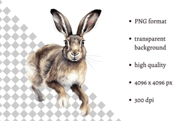 Watercolor Woodland Hare PNG Clipart Gráfico Ilustraciones Imprimibles Por MashMashStickers