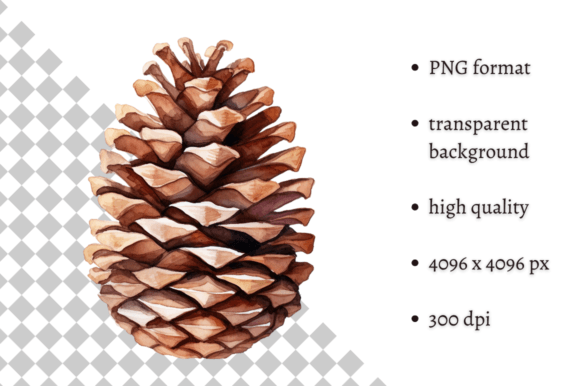 Watercolor Woodland Pine Cone Clipart Graphic Illustrations By MashMashStickers