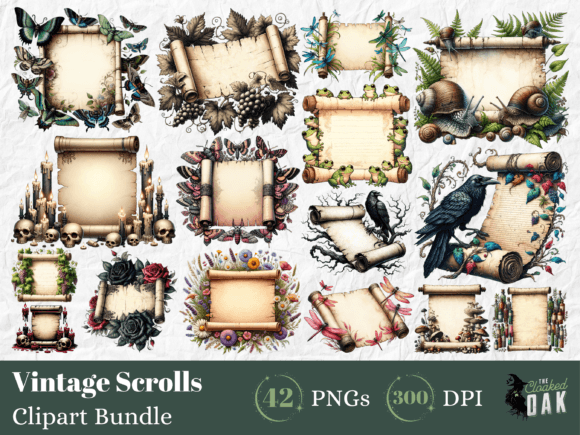 42 Blank Vintage Scrolls Clipart Graphic AI Transparent PNGs By The Cloaked Oak