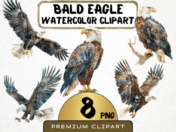 Watercolor Bald Eagle Clipart Graphic Illustrations By MokoDE