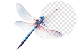 DragonFly Art Watercolor Winged Clipart Graphic Illustrations By vectmonster