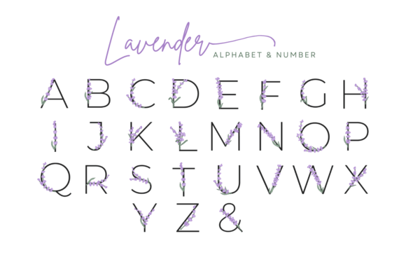 Lavender Blossom Violet Flower Alphabet Graphic Illustrations By Lara Art