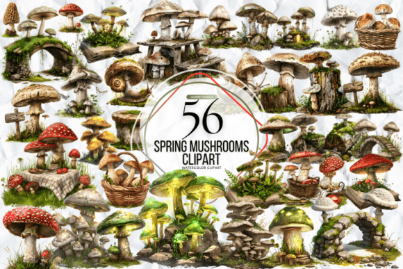Spring Mushrooms Clipart Graphic Illustrations By Markicha Art