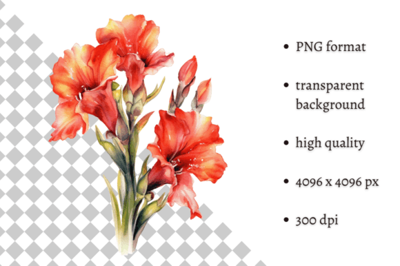 Watercolor Gladiolus, Spring Flowers Cli Graphic Illustrations By MashMashStickers