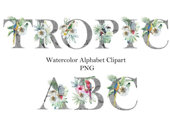 Watercolor Alphabet with Parrots. Illustration Illustrations Imprimables Par tapilipa