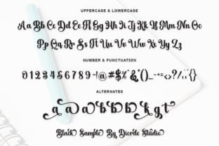 Black Sample Script & Handwritten Font By Diorde Studio 10