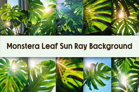Monstera Leaf Sun Ray Background Grafika Rękodzieła Przez Pamilah