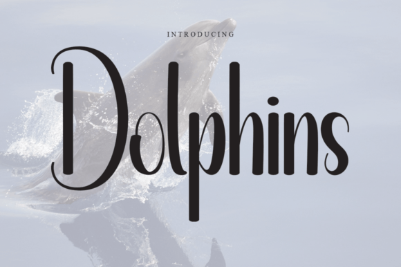 Dolphins Script & Handwritten Font By betastudio13