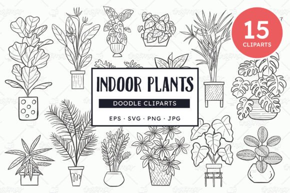 Tropical Indoor Plants - Lineart Graphic Illustrations By insemar