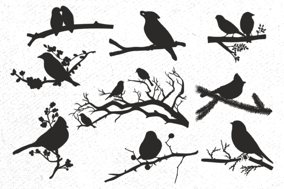 Birds on Tree Branch Bundle, Silhouette, Graphic Illustrations By camelsvg
