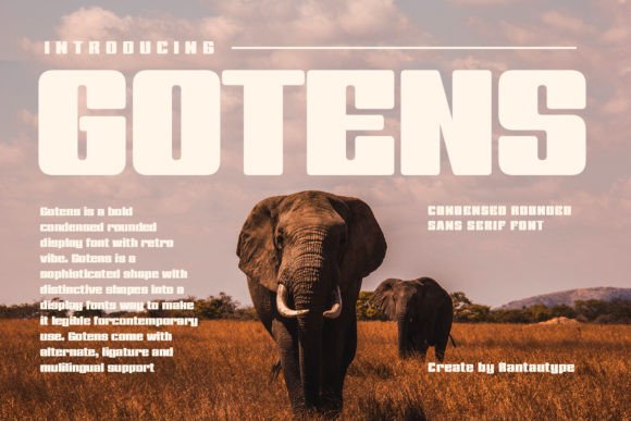 Gotens Display Font By RantauType