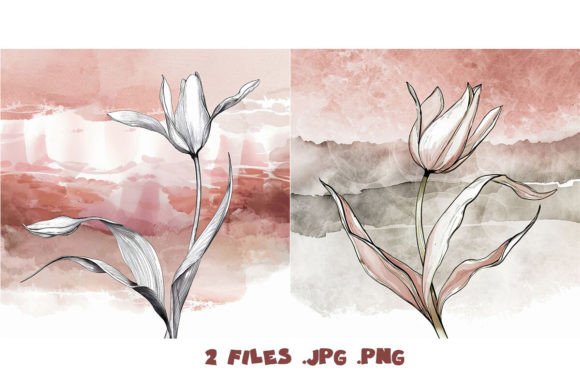 Tulip Graphic AI Transparent PNGs By Joanna Redesiuk