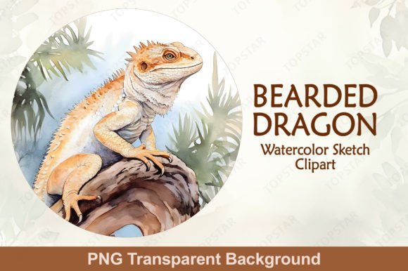 Bearded Dragon Watercolor Sketch Clipart Gráfico Ilustrações para Impressão Por Topstar