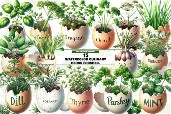 Watercolor Culinary Herbs Eggshell Graphic Crafts By Kookie House