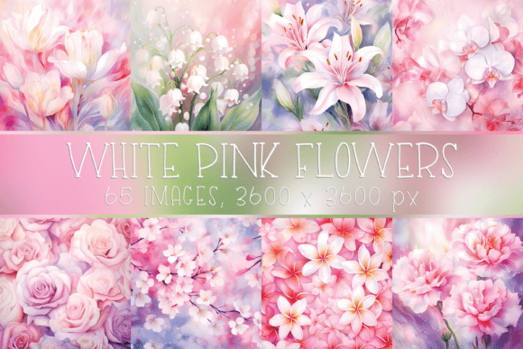 Watercolor White Pink Flower Backgrounds Gráfico Fondos Por Color Studio