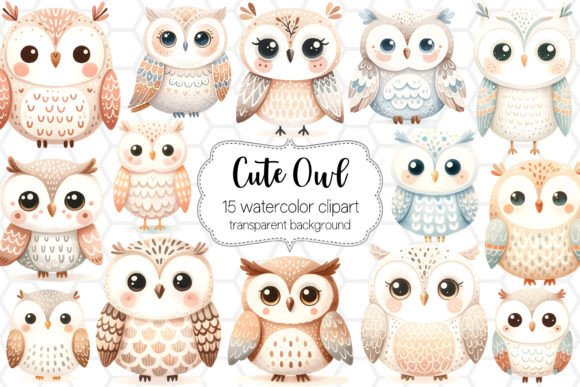 Cute Owl Clipart Bundle - PNG Designs Graphic Illustrations By DreanArtDesign