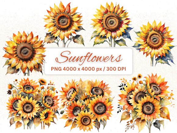 Watercolor Sunflowers Graphic AI Transparent PNGs By Charnelle's Canvas
