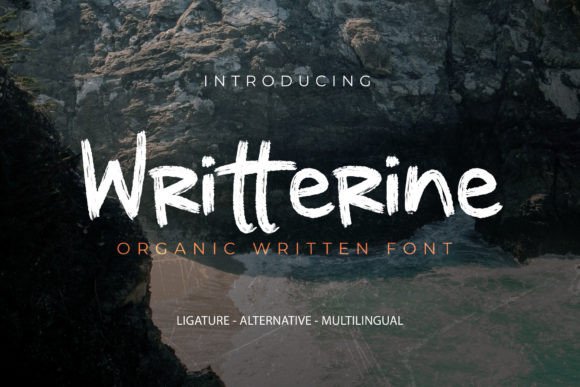 Writterine Script & Handwritten Font By Lettermine