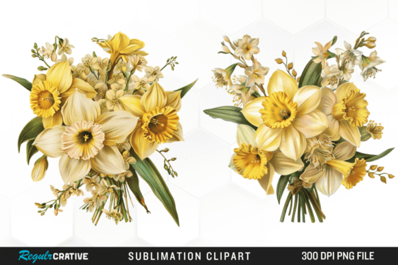 Daffodil Yellow Spring Flower Clipart Grafika Ilustracje do Druku Przez Regulrcrative