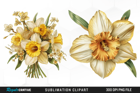 Daffodil Yellow Spring Flower Clipart Graphic Illustrations By Regulrcrative