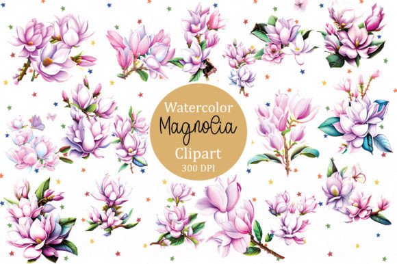 Flowers Clipart, Magnolia Clipart Graphic Illustrations By Colourful