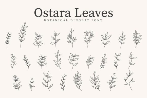 Ostara Leaves Fuentes Dingbats Fuente Por CraftedType Studio